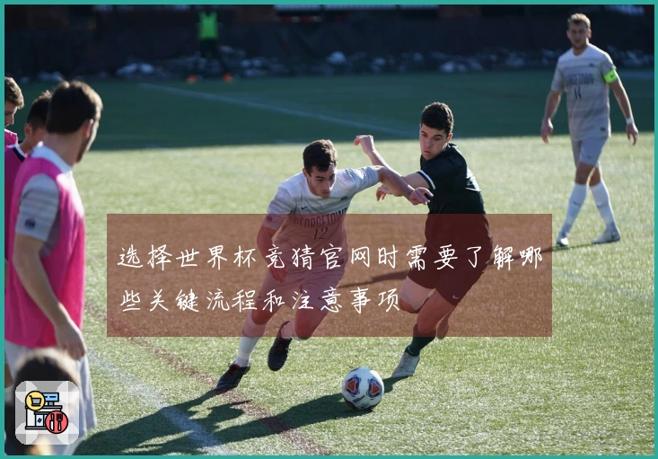 选择世界杯竞猜官网时需要了解哪些关键流程和注意事项