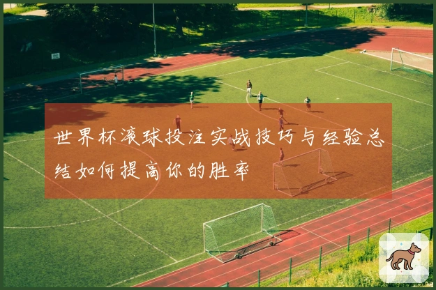 世界杯滚球投注实战技巧与经验总结如何提高你的胜率