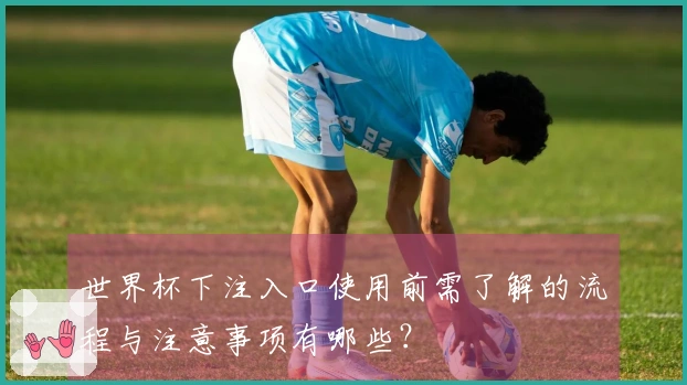 世界杯下注入口使用前需了解的流程与注意事项有哪些?