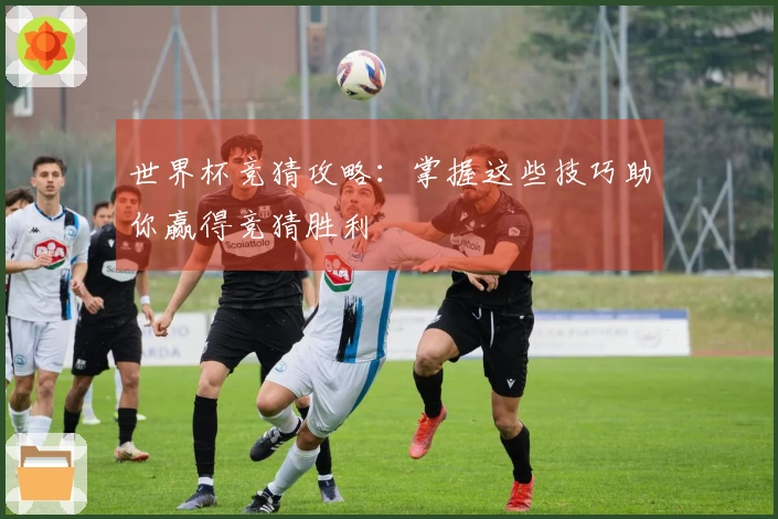 世界杯竞猜攻略：掌握这些技巧助你赢得竞猜胜利