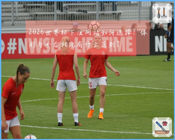 2026世界杯下注网站如何选择？体彩与平台相比有什么区别？