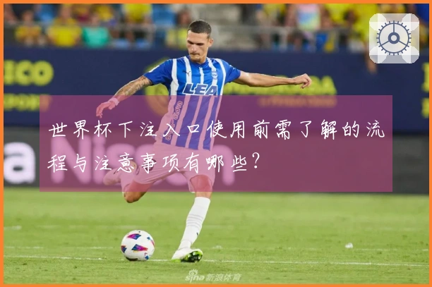 世界杯下注入口使用前需了解的流程与注意事项有哪些？