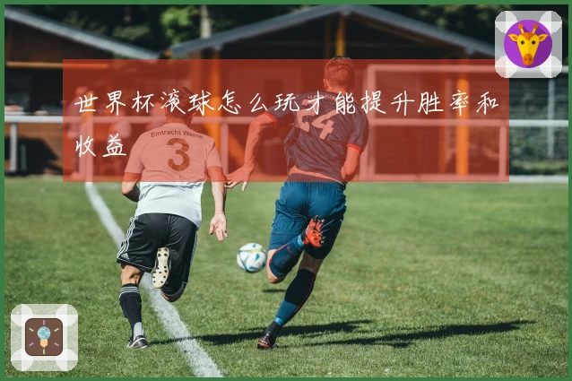 世界杯滚球怎么玩才能提升胜率和收益