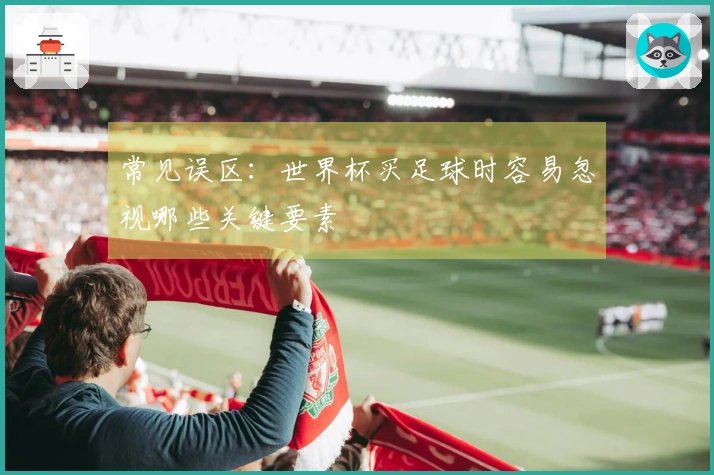 常见误区:世界杯买足球时容易忽视哪些关键要素