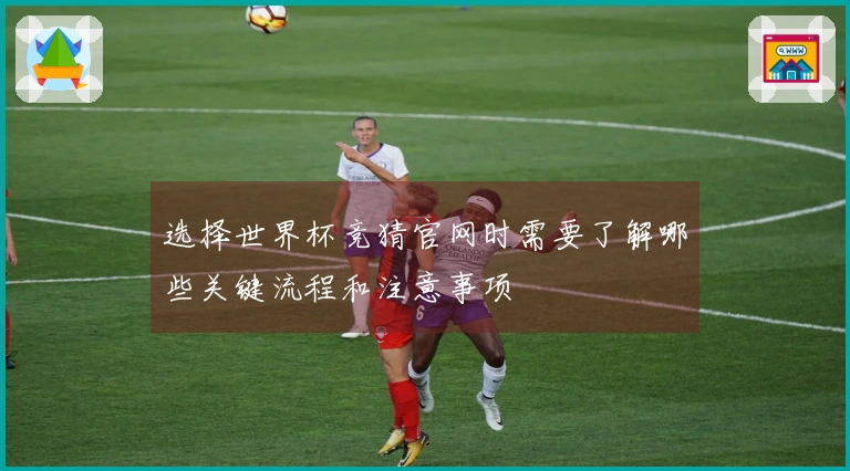 选择世界杯竞猜官网时需要了解哪些关键流程和注意事项