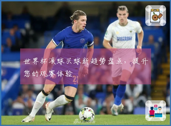 世界杯滚球买球新趋势盘点，提升您的观赛体验